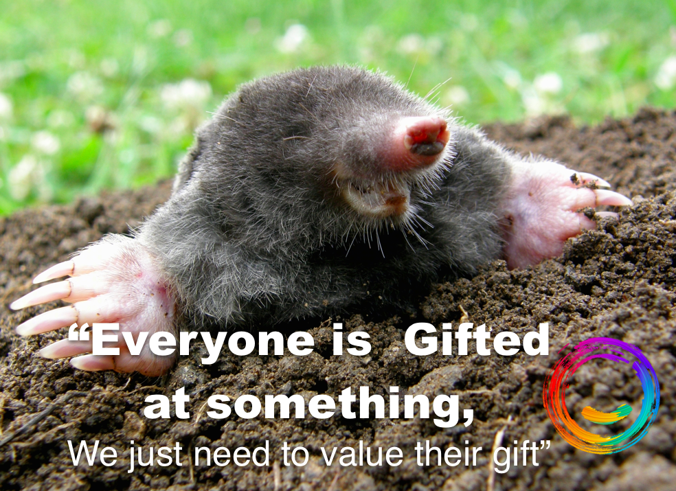 Everyone is Brilliant at something. We just need to value that gift.